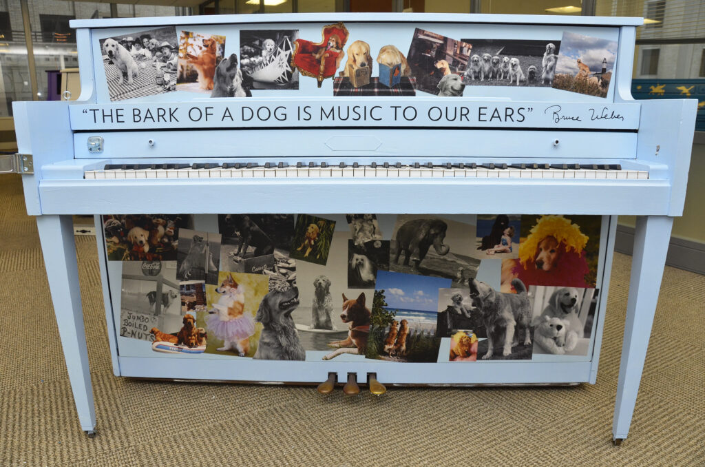 The Bark of A Dog Is Music to Our Ears